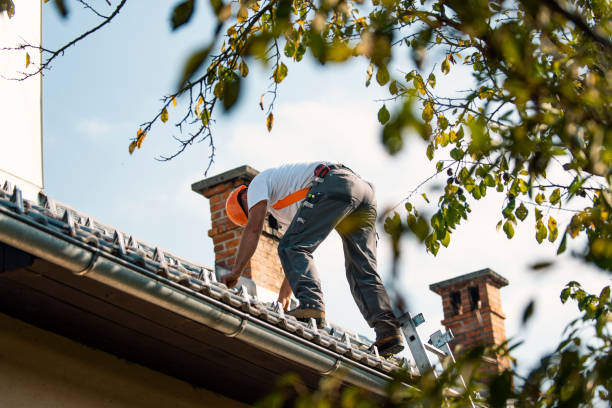Best Roof Moss and Algae Removal  in Riverton, WY