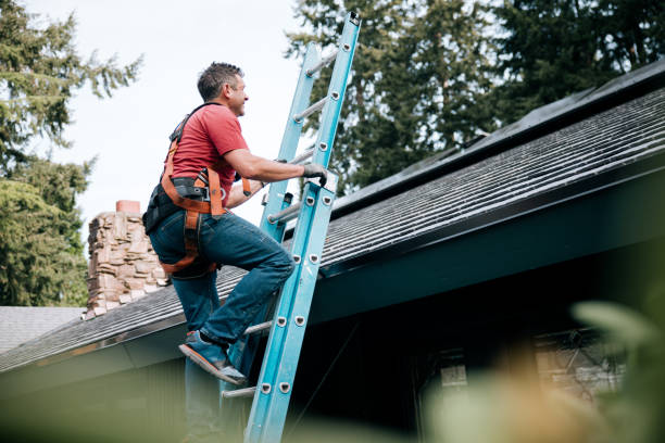 Best Roof Maintenance and Cleaning  in Riverton, WY